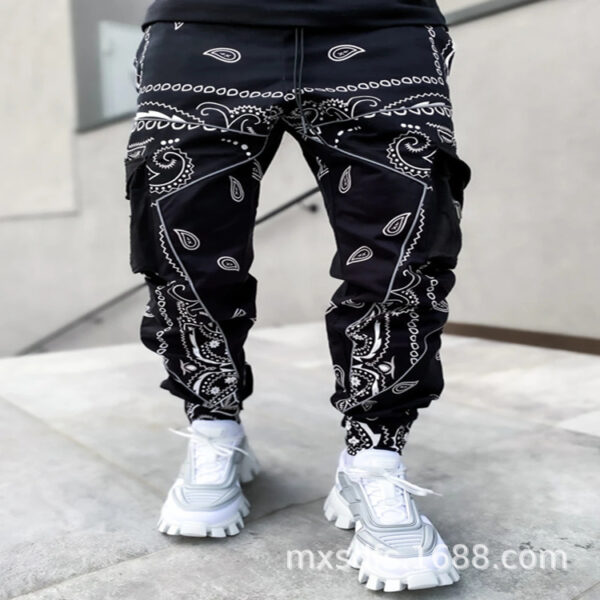 Men's Bandana Paisleys Hip Hop Casual Wide-Leg Harem Pants - Image 2